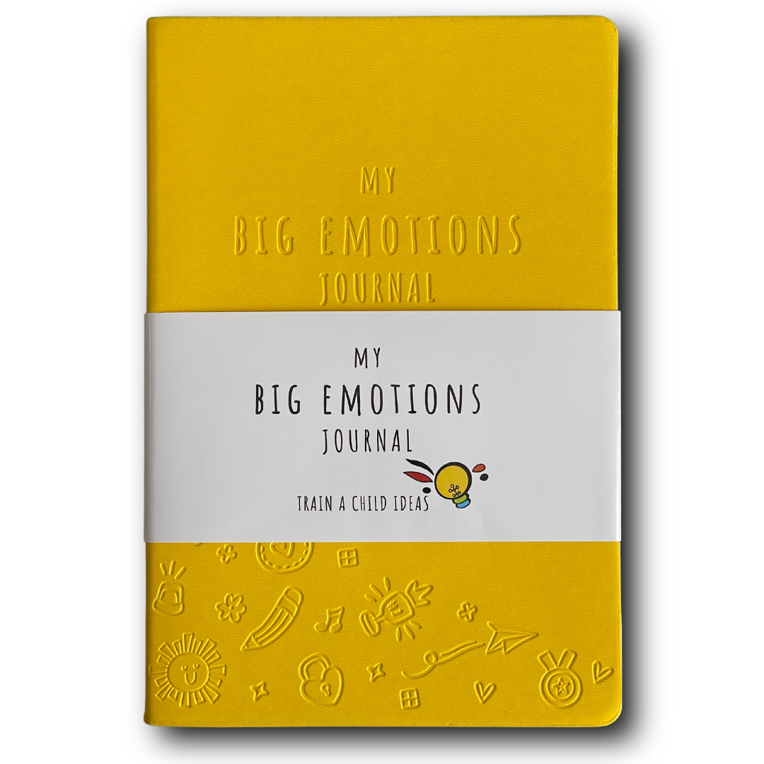 My Big Emotions Journal