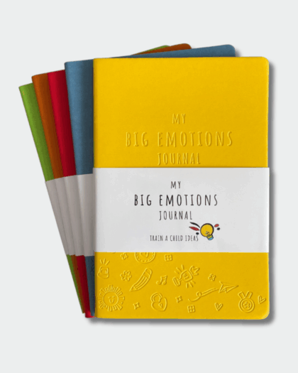 My Big Emotions Journal