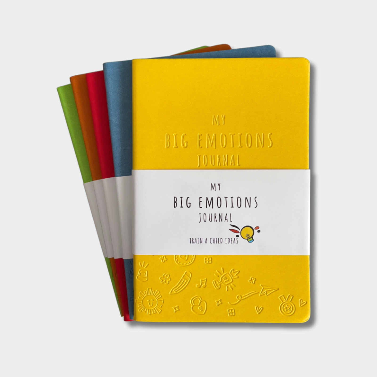 My Big Emotions Journal