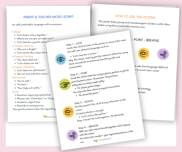 The EYFS + SEND 4-Step Icon Colour Grounding Toolkit (Professional ...