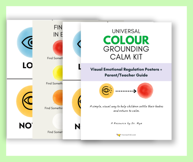 Emotion Regulation Kit The Universal Colour Grounding Calm Kit - Visual Emotional Regulation ...